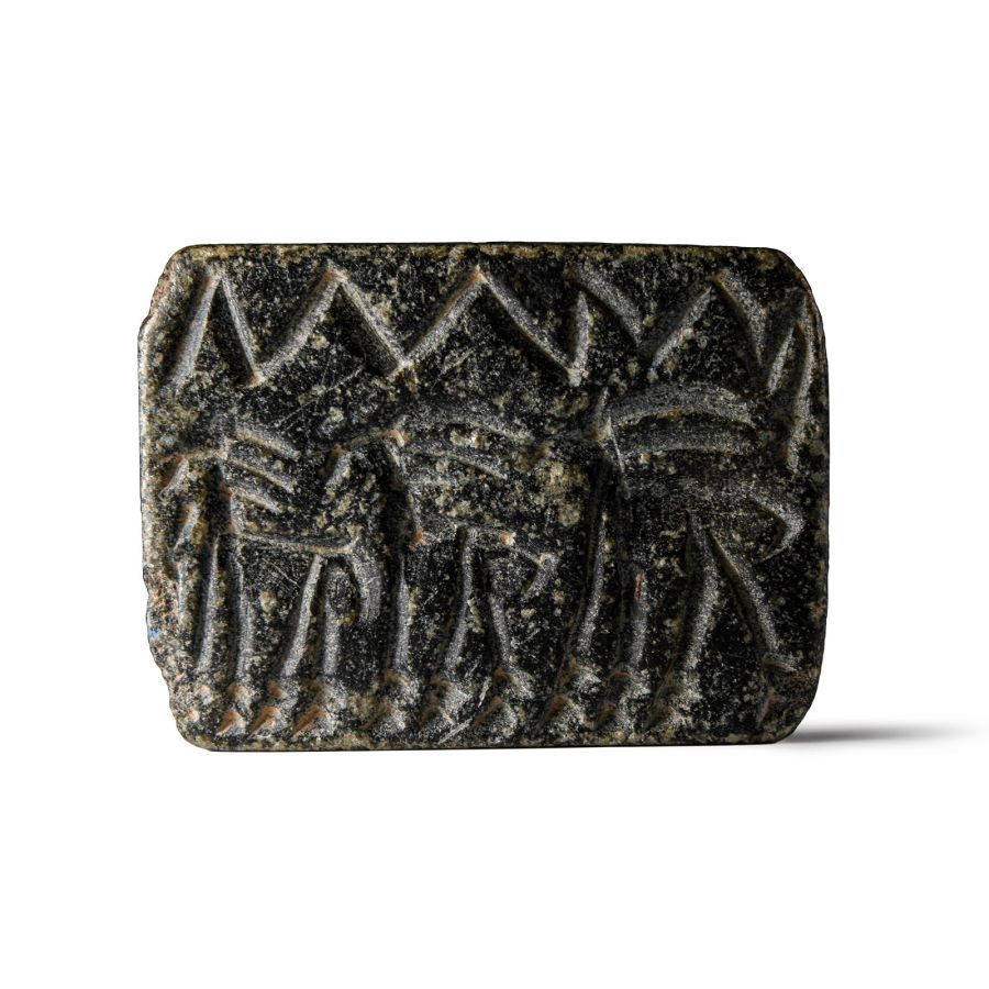Large Western Asiatic Stone Stamp Seal
