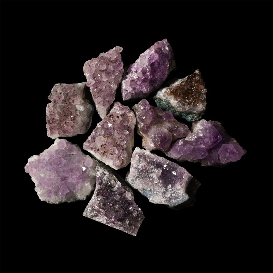 Natural History - Amethyst Crystal Geode Section Group [10]