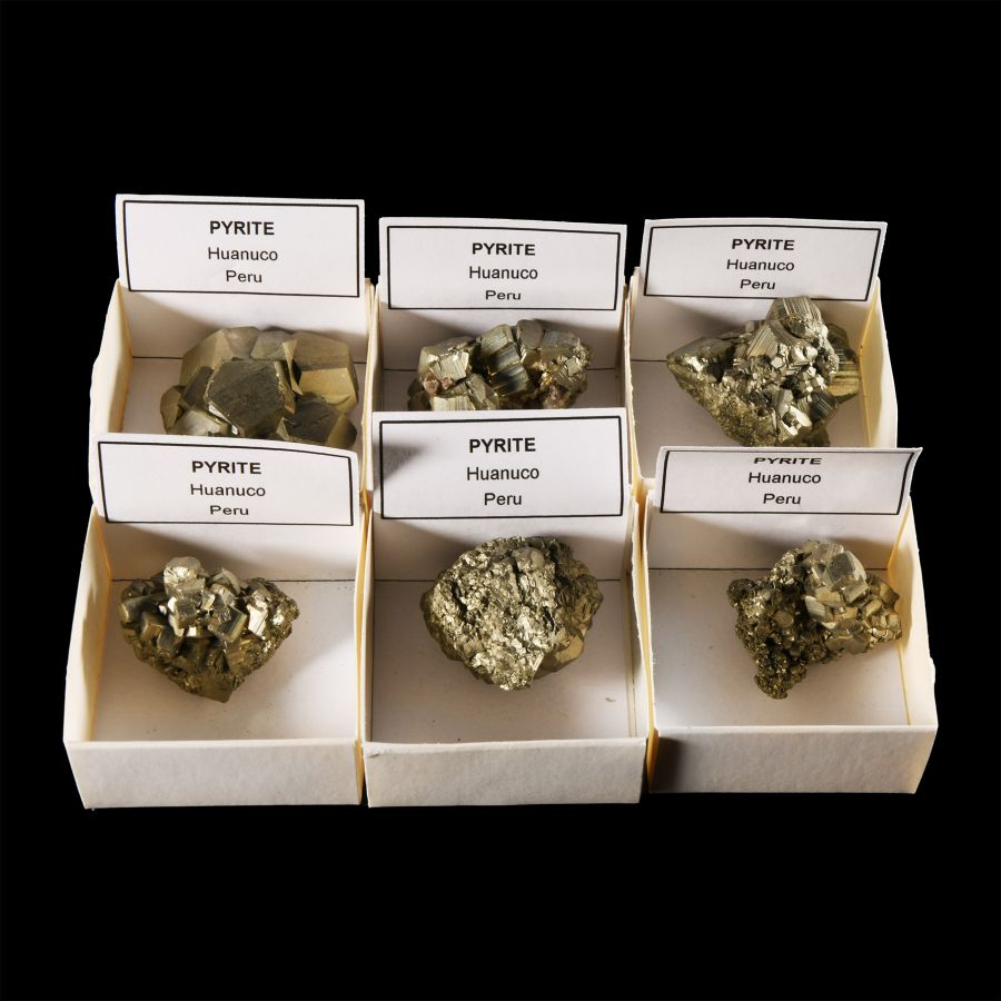 Natural History - Boxed Pyrite Mineral Specimen Group [6]