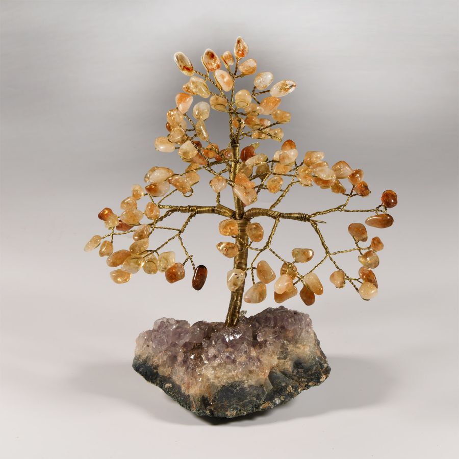 Natural History - Citrine Gem Tree on Amethyst Crystal Geode Section