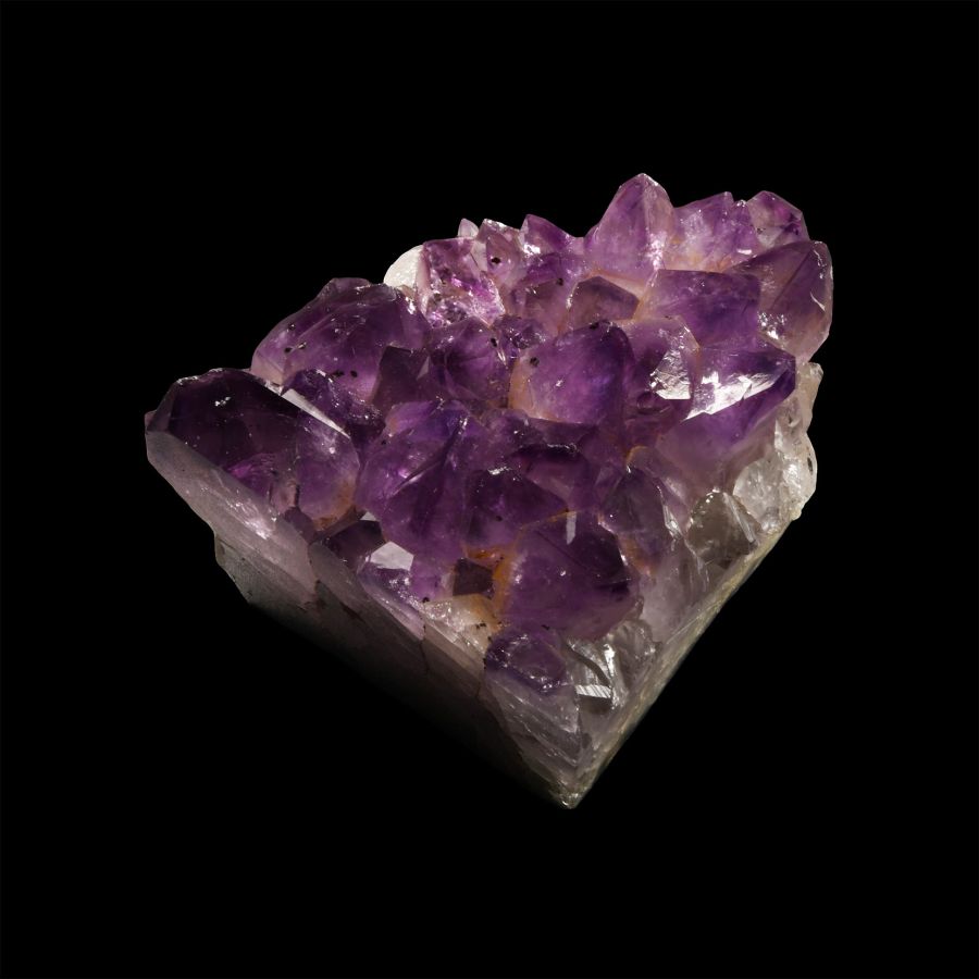 Natural History - Cut Amethyst Crystal Geode Segment
