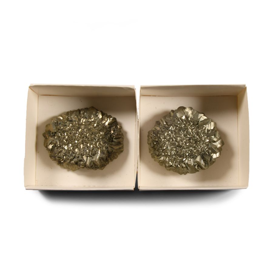 Natural History - Boxed Pyrite 'Fool's Gold' Crystal Rose Pair [2]