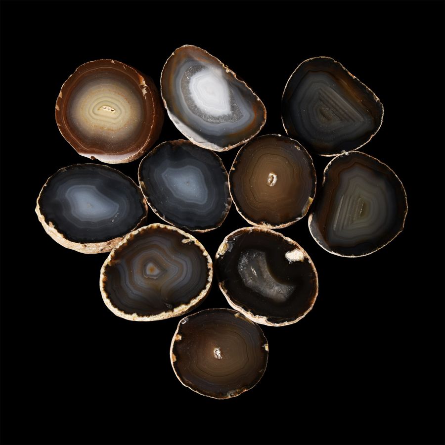 Natural History - Agate Crystal Geode Cut Half Group [10]