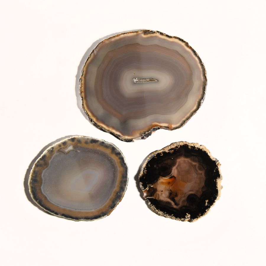 Natural History - Grade A Cut and Polished Agate Slice Collection [3]