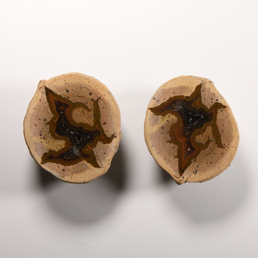 Natural History - Australian Agate Creek Cut and Polished 'Thunder Egg'