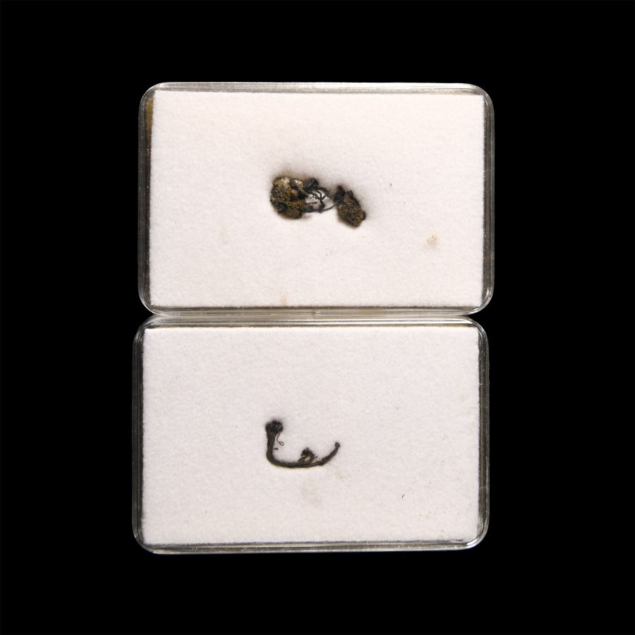 Natural History - Cased Native Silver Wire Specimen Group [2]
