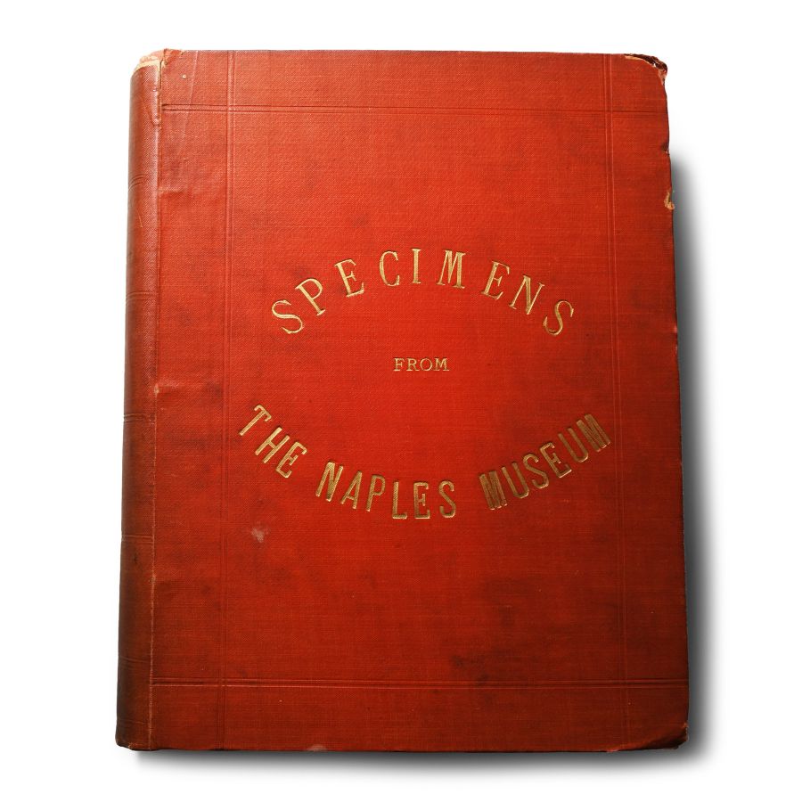 Archaeological Books - Monaco - Specimens from the Naples Museum