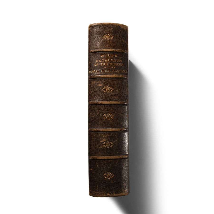 Archaeological Books - Wilde - Catalogue of The Antiquities of Stone, Earthen, and Vegetable Materials, in the Museum of the Royal Irish Academy