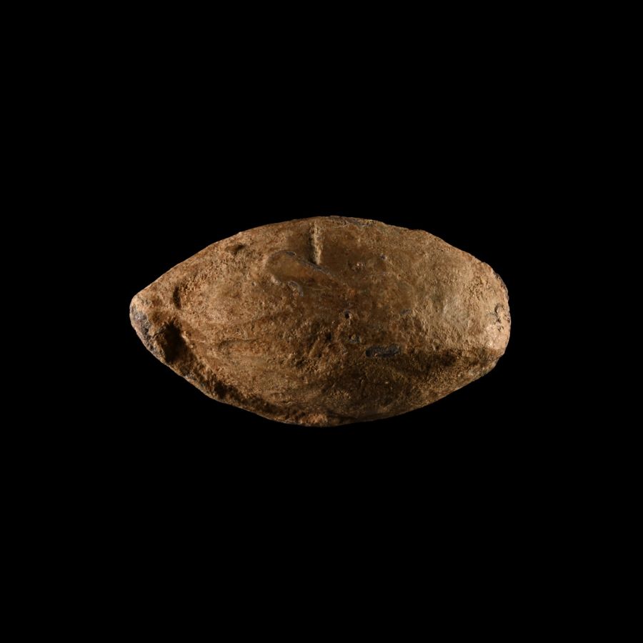 Roman 'Julius Caesar' Slingshot from the Battle of Munda