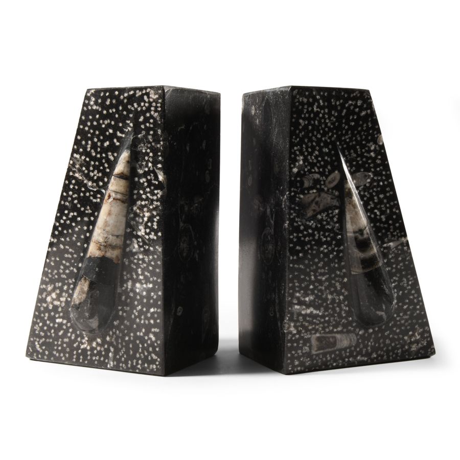 Natural History - Polished Orthoceras Book End Pair