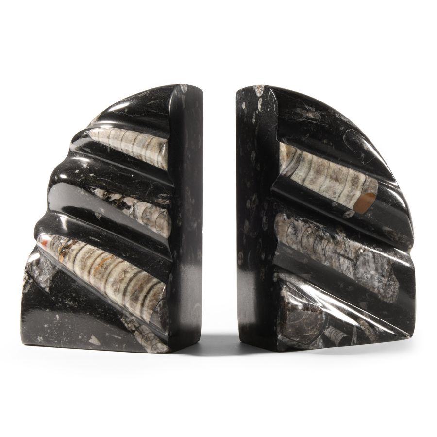 Natural History - Polished Orthoceras Fossil Book End Pair