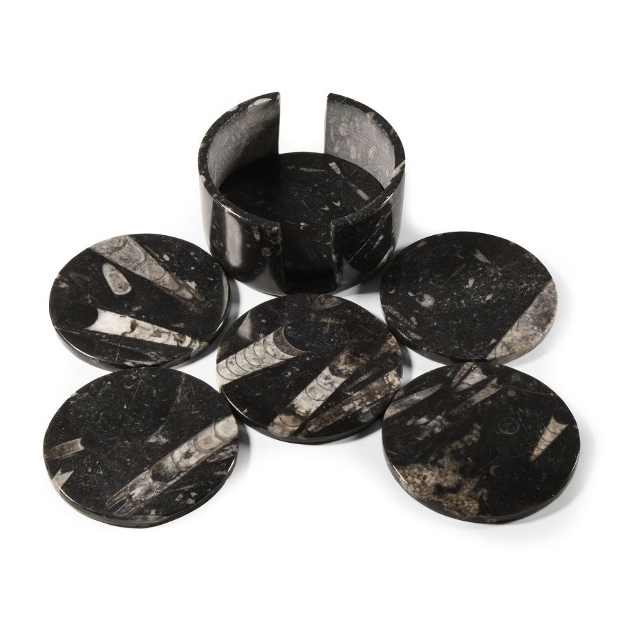 Natural History - Polished Fossil Orthoceras Coaster Set