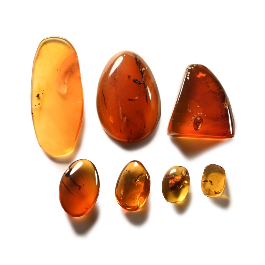 Natural History - Amber with Insect Inclusion Group