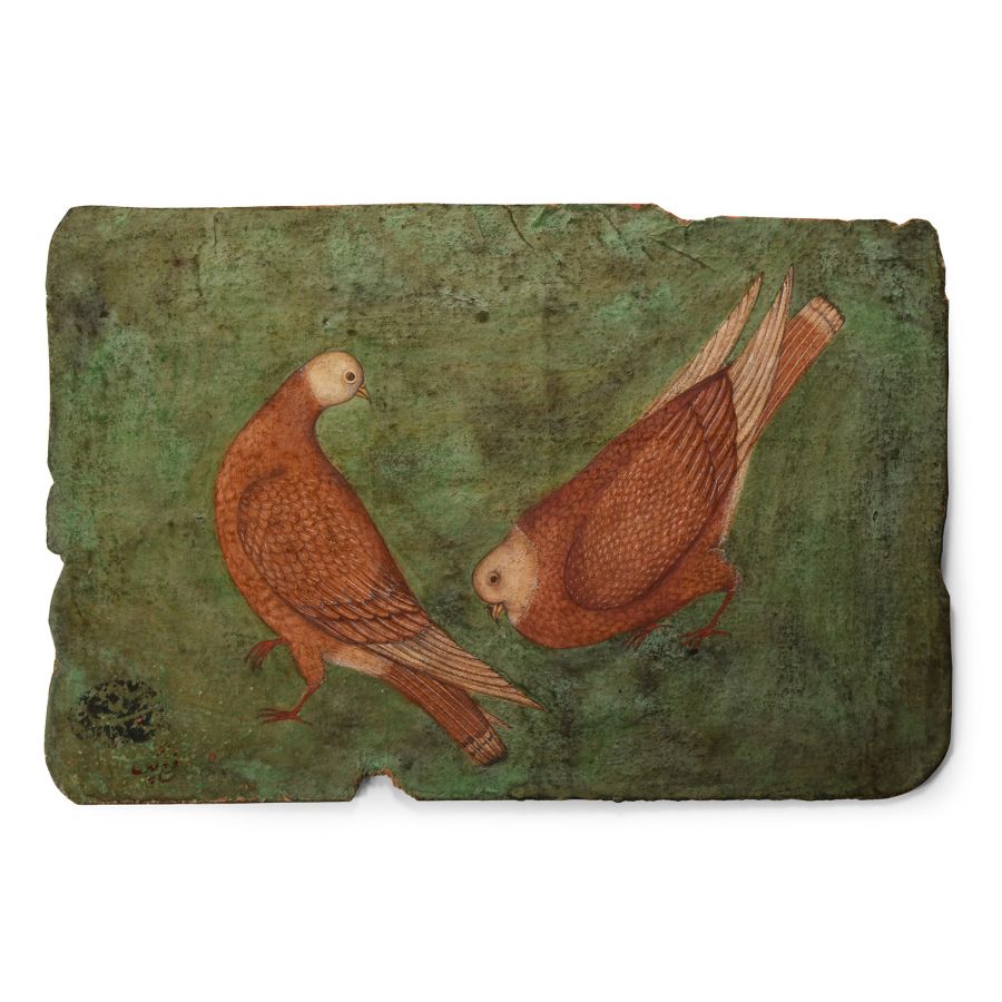 Indian Water Colour Painting of Courting Andaman Doves