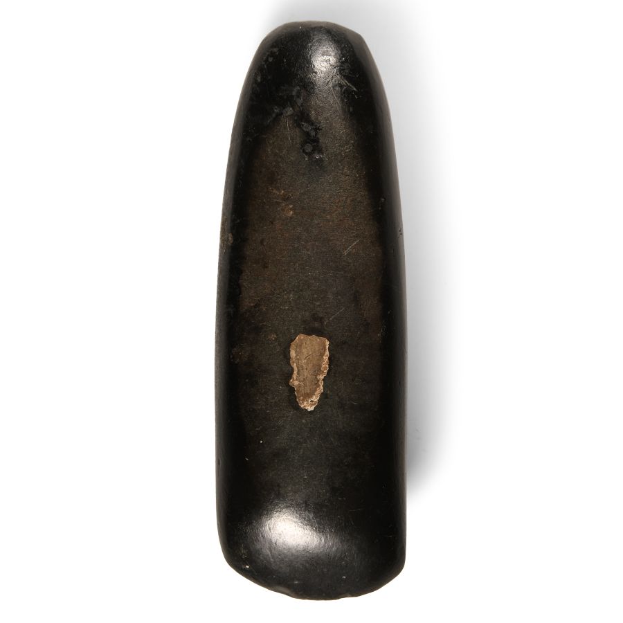 Stone Age Polished Axehead