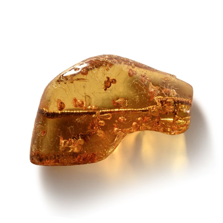 Natural History - Large Polished Copal Amber with Termites
