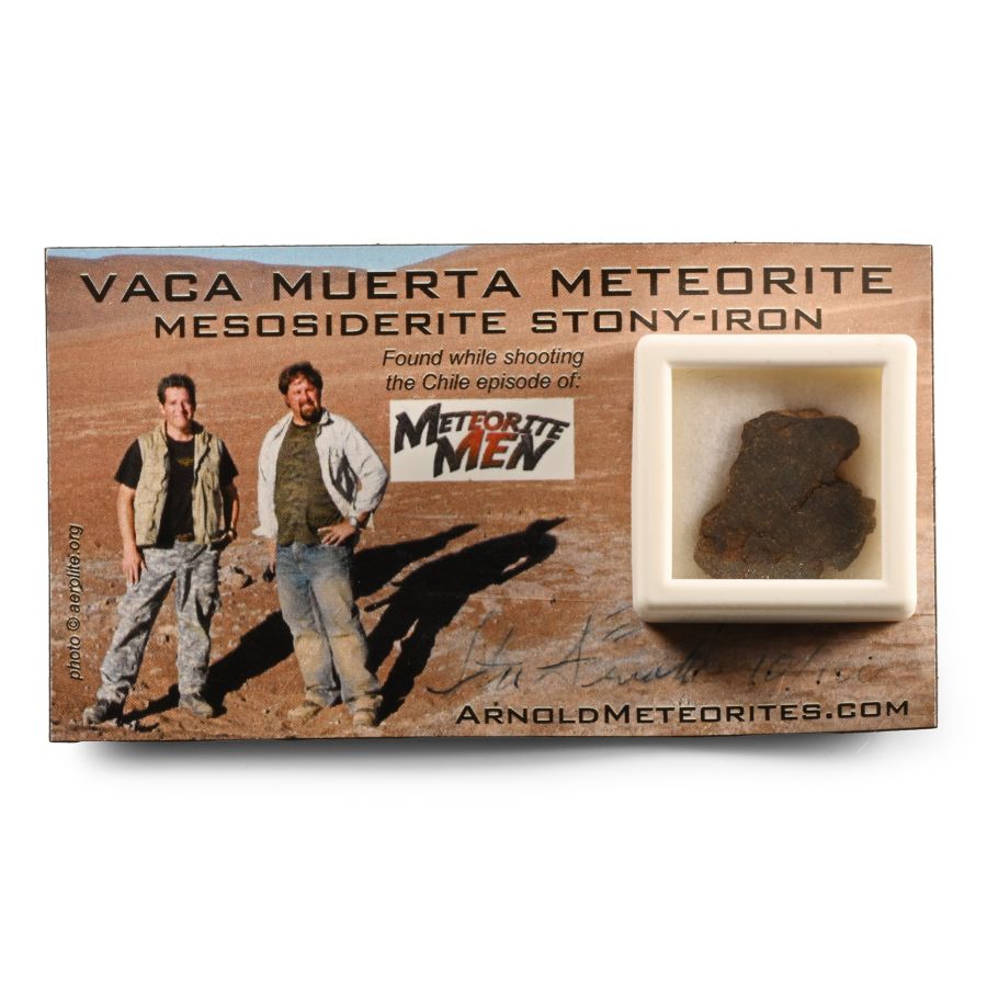 Natural History - Mesosiderite Stony-Iron Meteorite