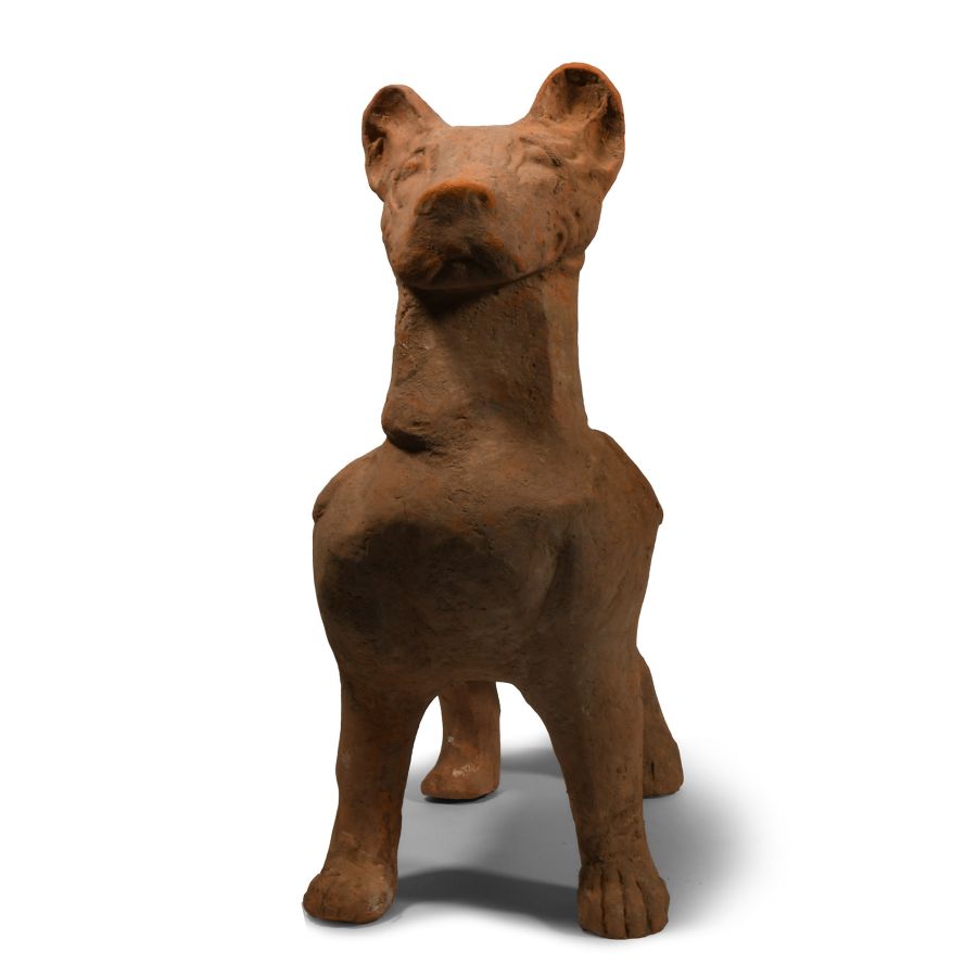 Very Large Chinese Han Terracotta Guardian Dog