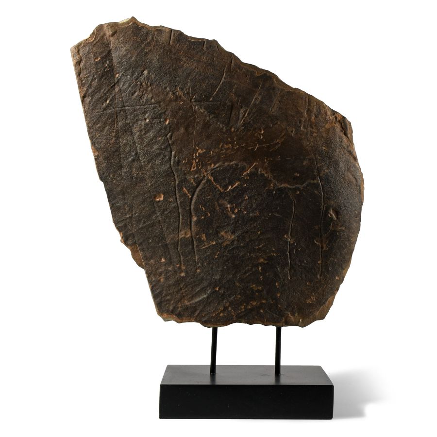Stone Age Cave Drawing of a Quadruped