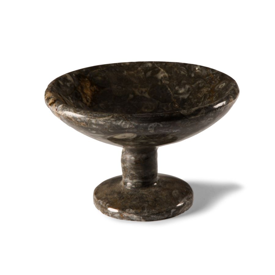 Natural History - Polished Fossil Chalice