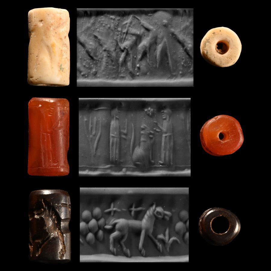 Cylinder Seal Group