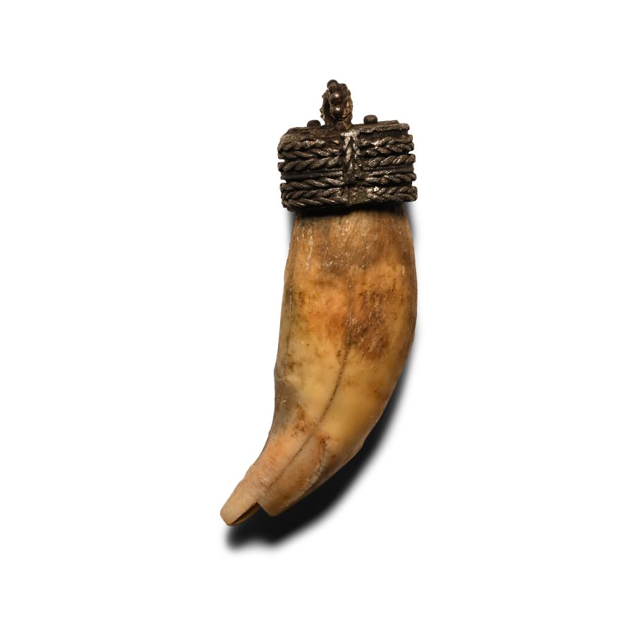 Viking Age Silver Pendant with Bear's Tooth