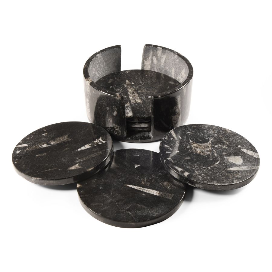 Natural History - Polished Fossil Orthoceras Coaster Set