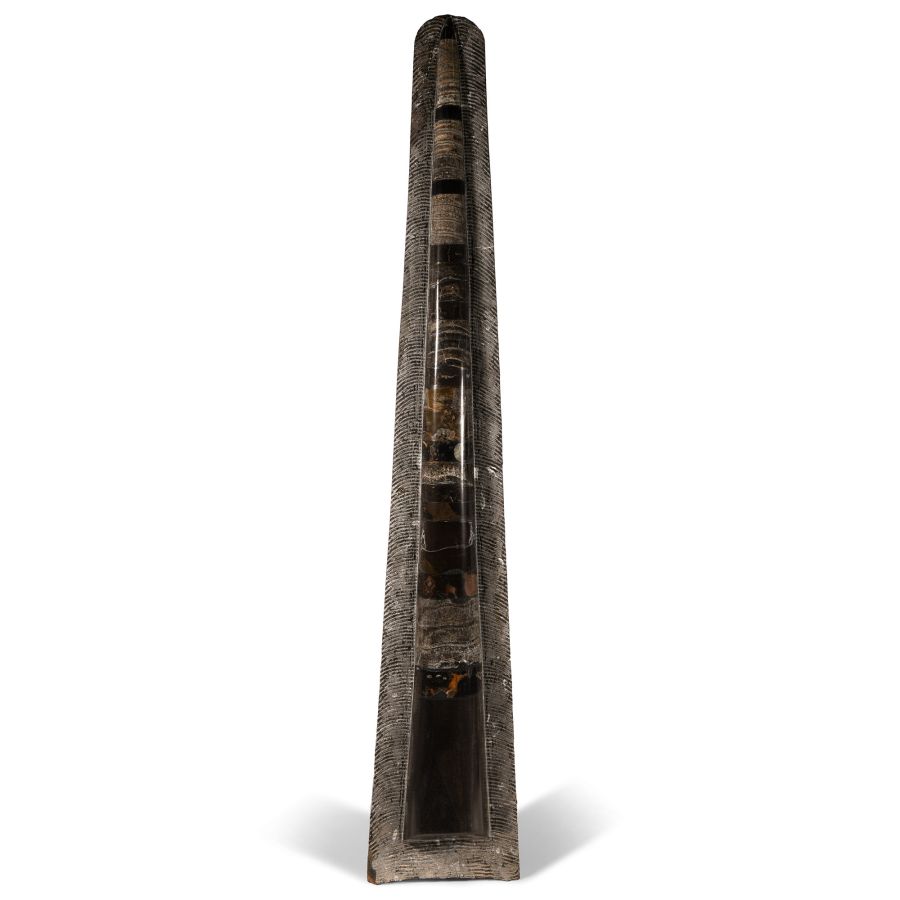 Natural History - Large Polished Fossil Orthoceras 'Rocket'