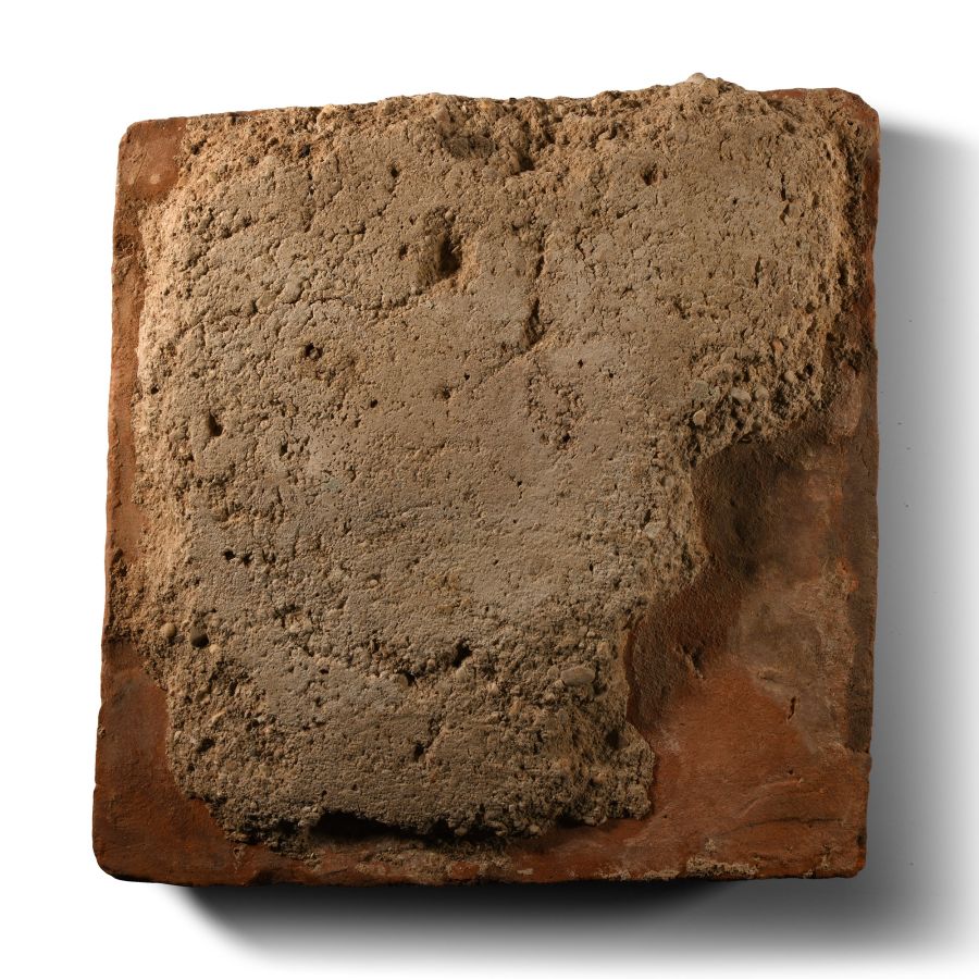 Romano-British 'Waldingham' Floor Tile