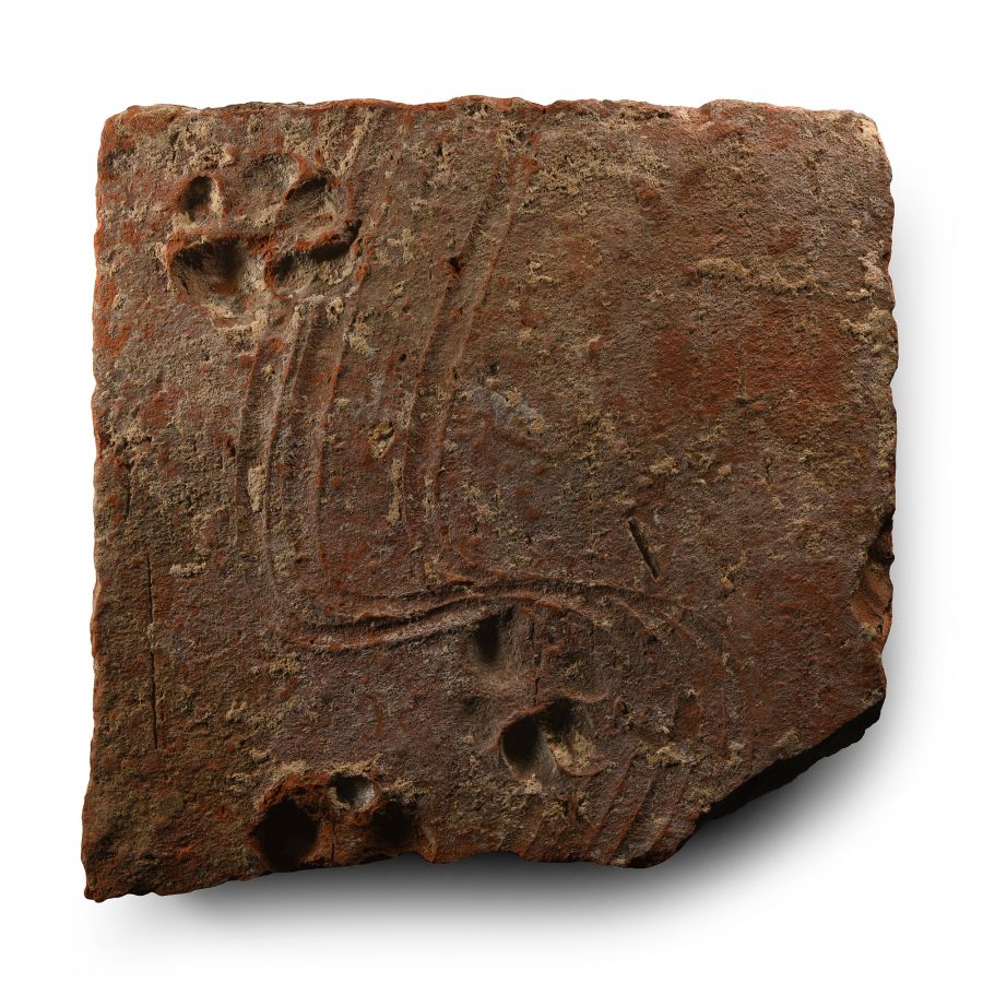 Romano-British 'Lympne Castle Roman Fort' Terracotta Tile with Roman Dog Pawprints