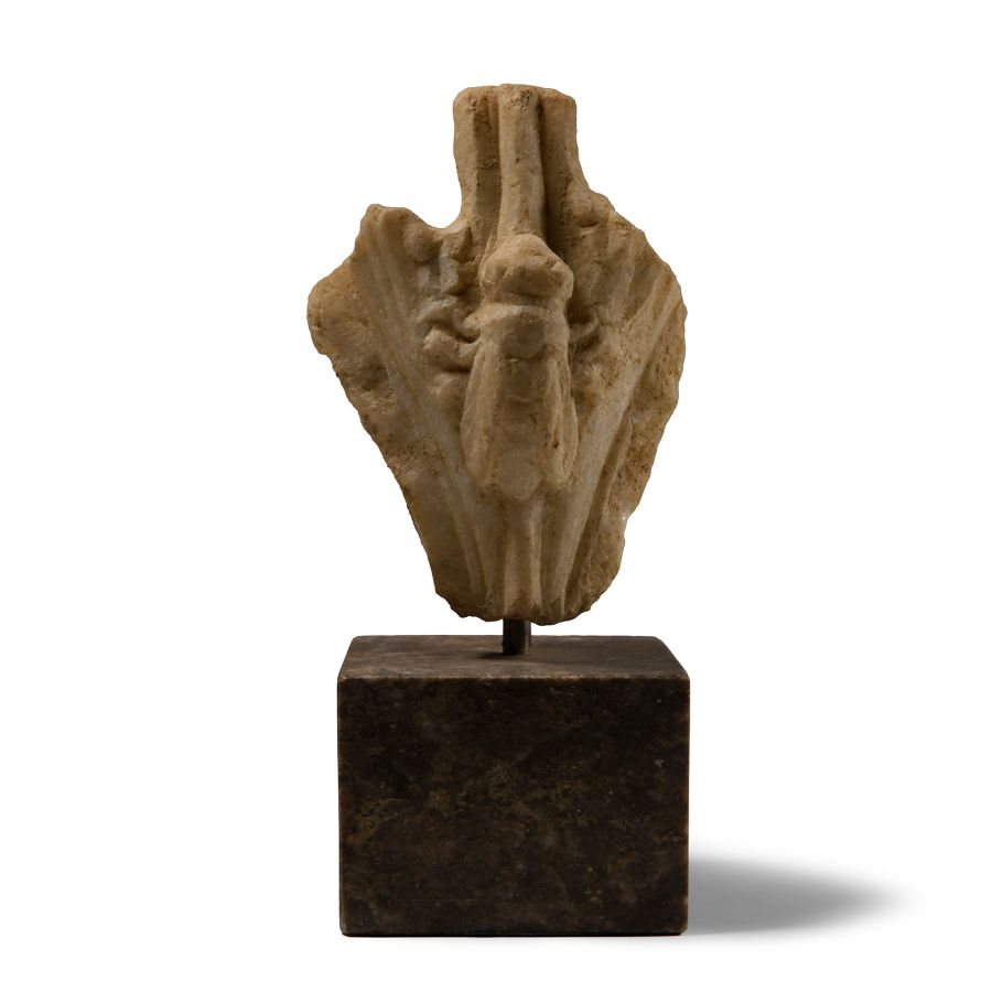 Roman Marble Cicada Fragment