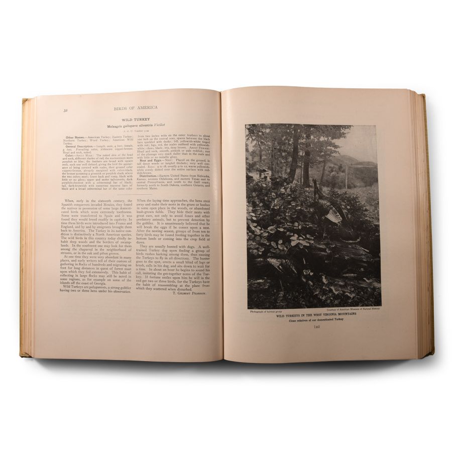 General Books - Birds of America