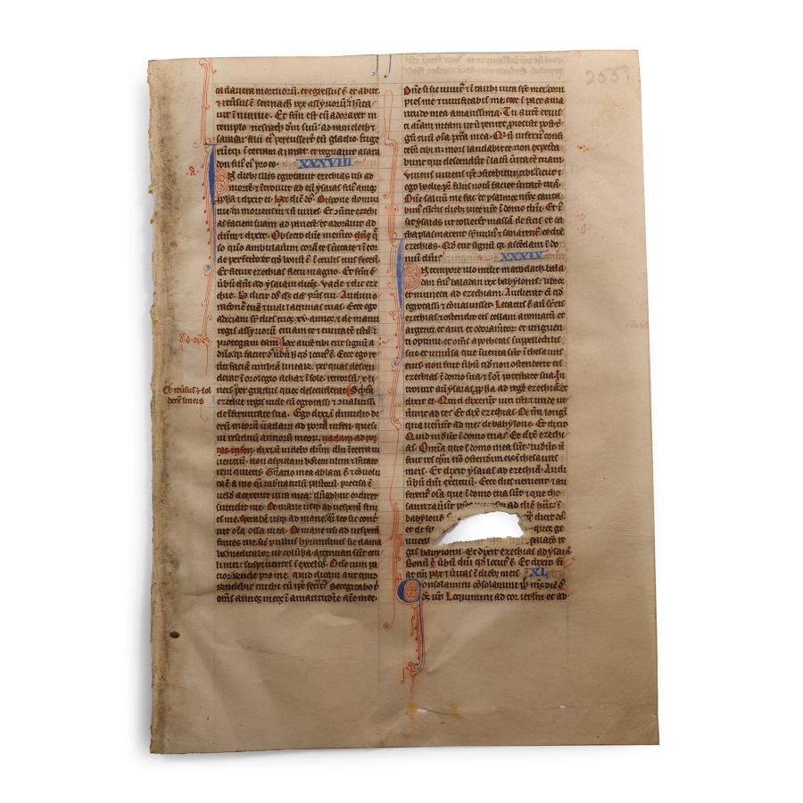 Medieval English Vellum Bible Manuscript Page