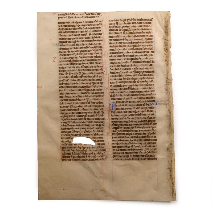 Medieval English Vellum Bible Manuscript Page