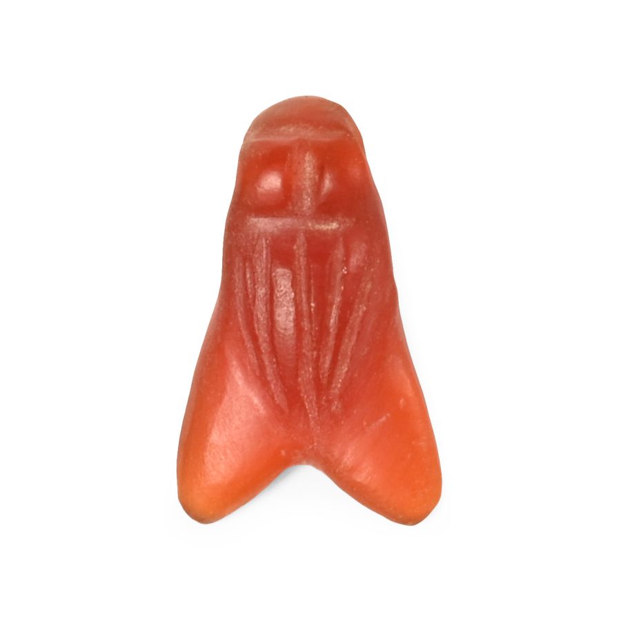 Egyptian Carnelian Fly Amulet