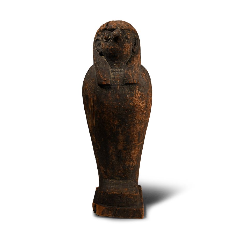 Egyptian Wooden Sarcophagus with Falcon Mummy
