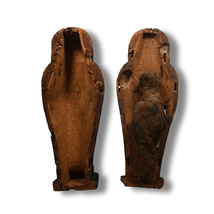 Egyptian Wooden Sarcophagus with Falcon Mummy