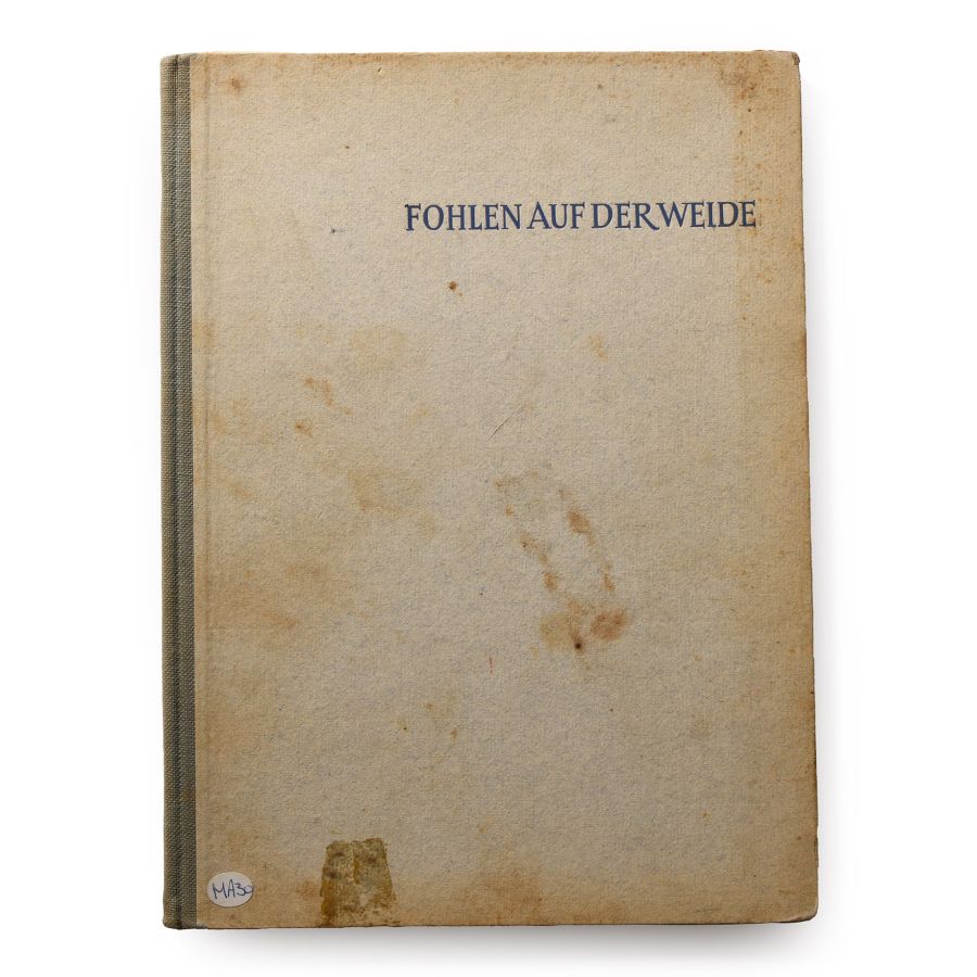 General Books - Fohlen Auf der Weide