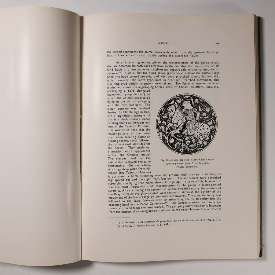 Archaeological Books - Gurgan Faiences