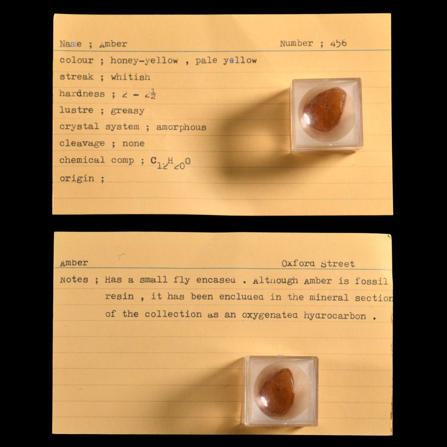 Natural History - Historic Amber Specimen with Fly