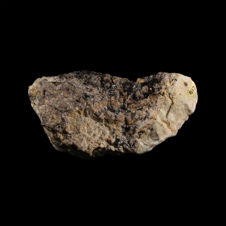 Natural History - Historic 'Spencer Opal Mine, Idaho, U.S.A.' Opal Mineral Specimen