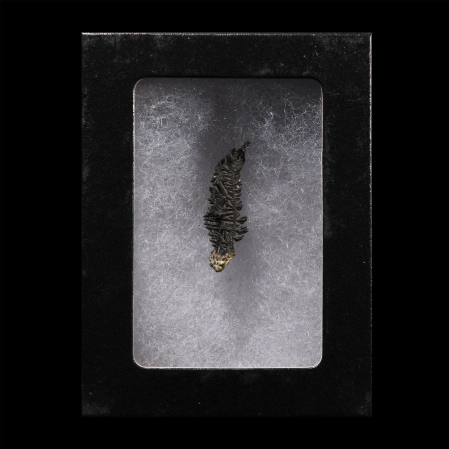 Natural History - Historic 'Batopilas, Mexico' Natural Silver Formation