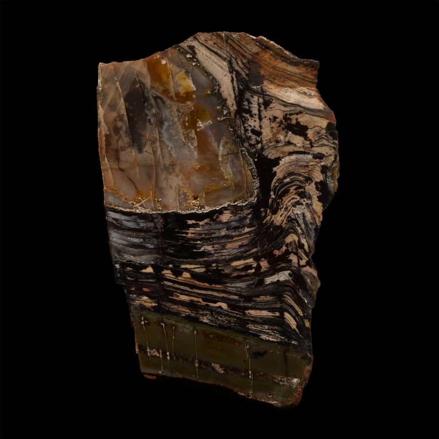 Natural History - 'Australia' Polished Stromatolite Block