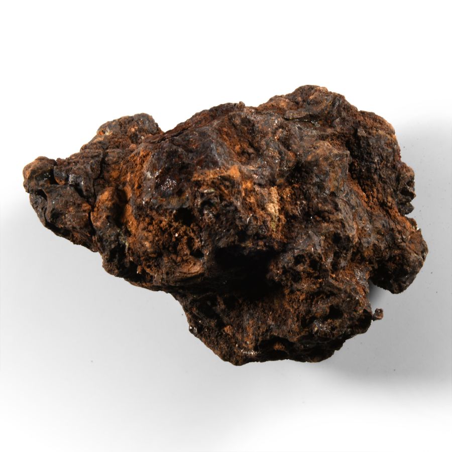 Natural History - Large Sericho Pallasite Meteorite