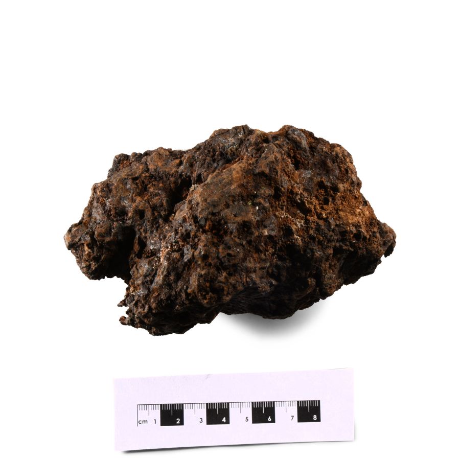 Natural History - Large Sericho Pallasite Meteorite