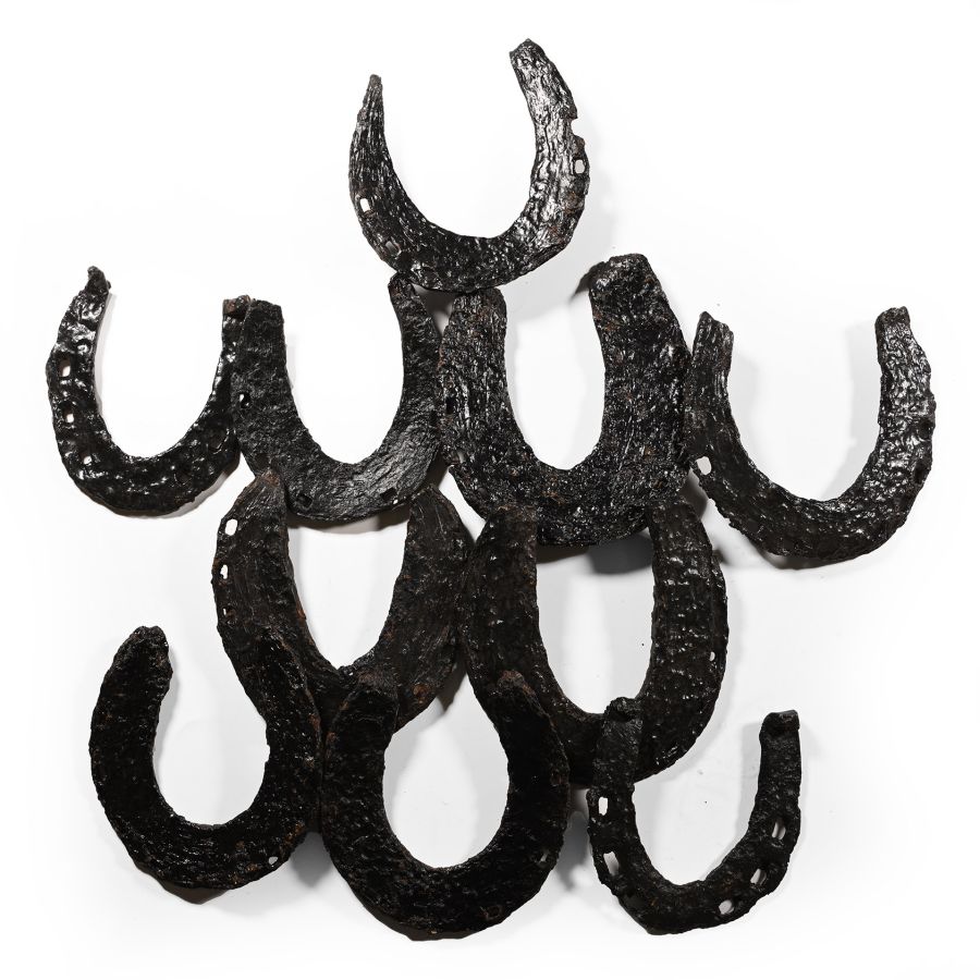 Medieval and Later Iron Horseshoe Collection