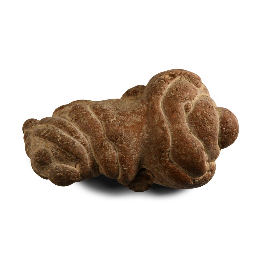 Natural History - Freeform Limestone Gogotte