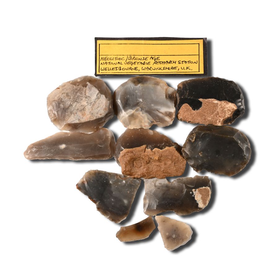 Large Stone Age Tool Group from Wellesbourne