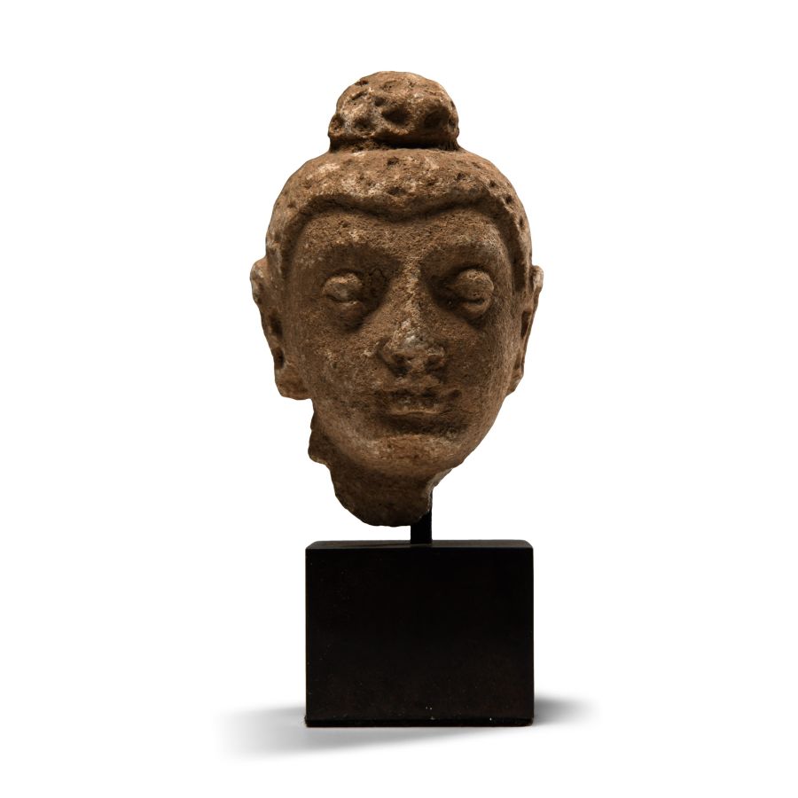 Gandharan Stucco Head