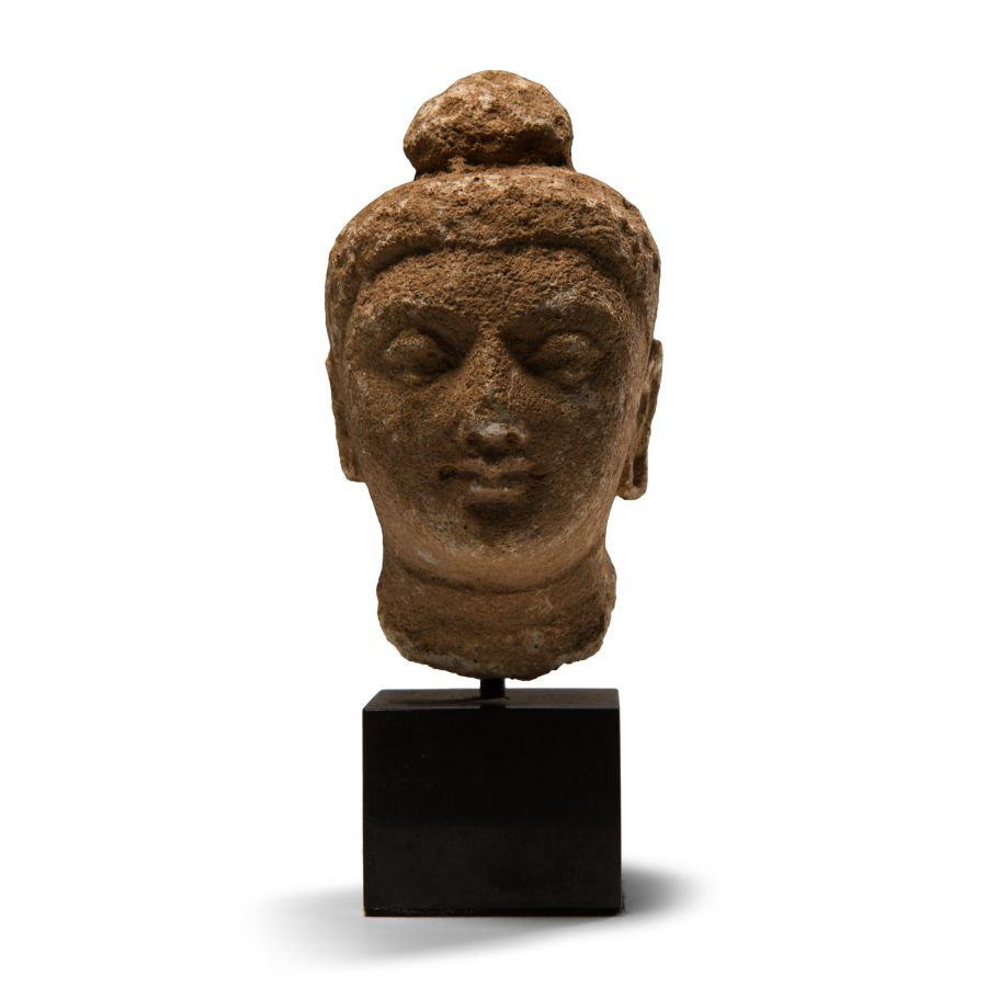 Gandharan Stucco Head